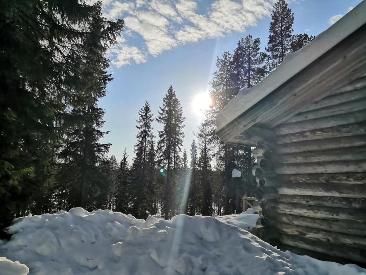 Maentytupa Lodge Syöte Exterior foto
